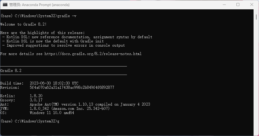 image-20240319215027898